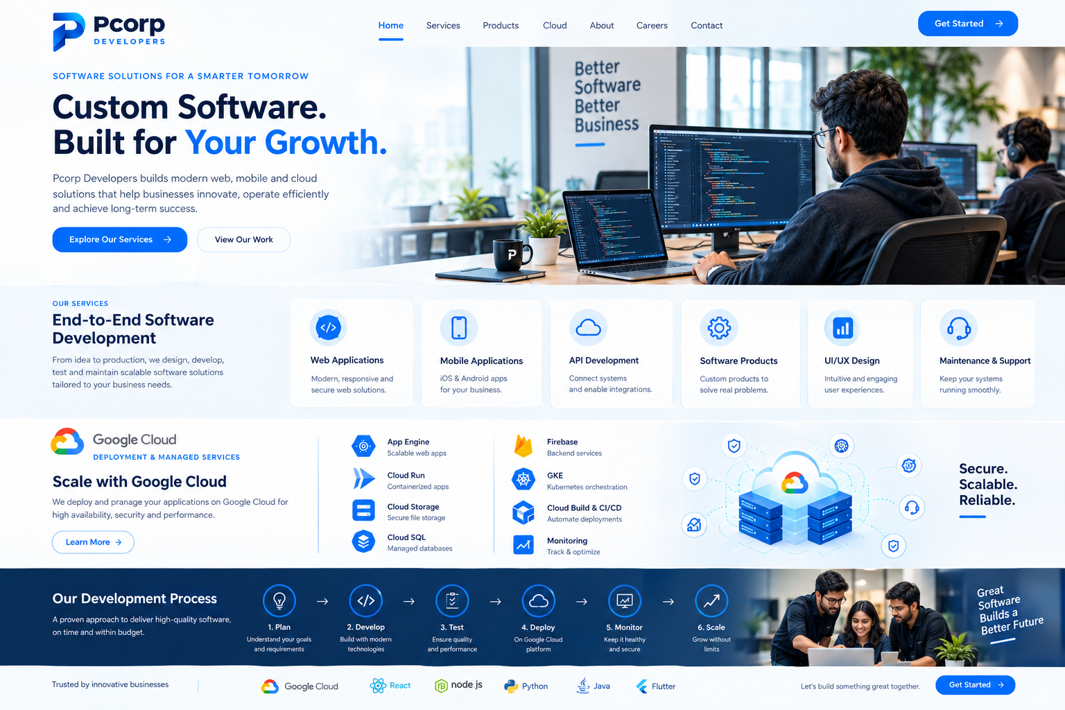Software development workspace